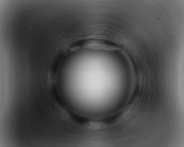 X0000092270272200709211142