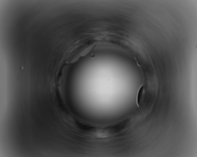 X0000092270275200709211142