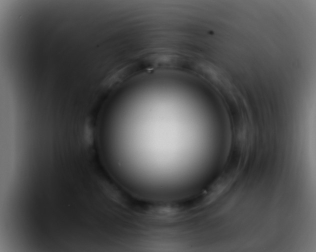 X0000092270282200709211142