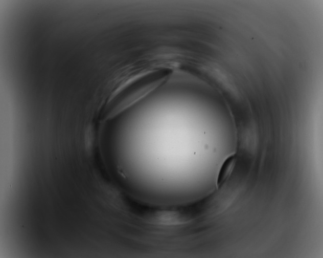X0000092270283200709211142