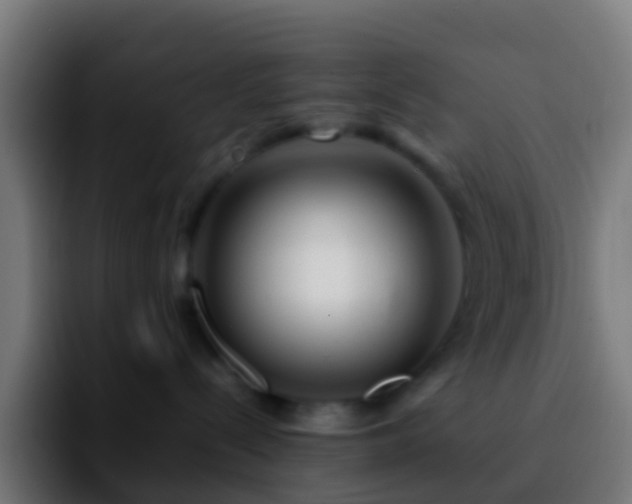 X0000092270288200709211142