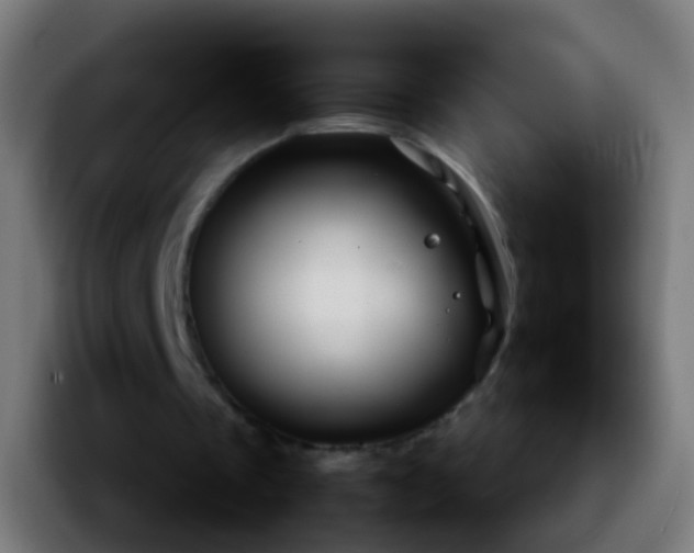 X0000092270289200709211142
