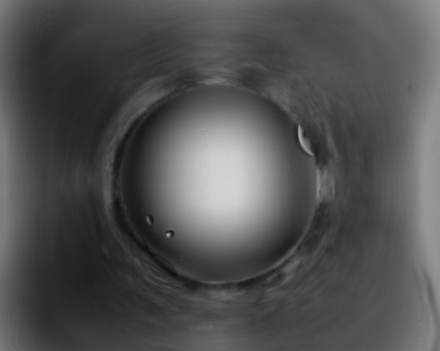 X0000092270291200709211142