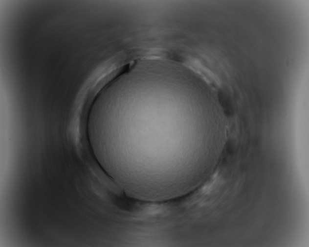 X0000092270293200709211142