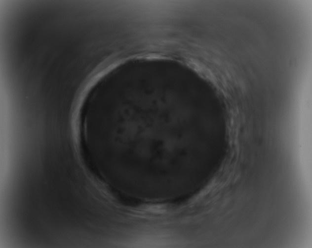 X0000092270295200709211142