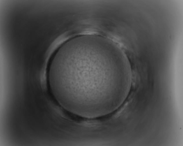 X0000092270296200709211142