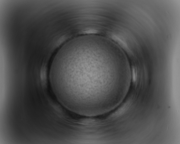 X0000092270300200709211142