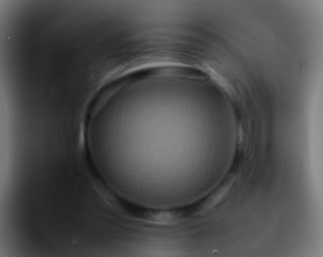 X0000092270301200709211142