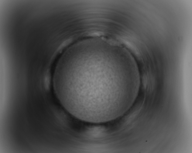 X0000092270304200709211142