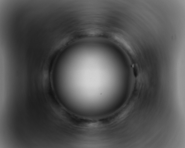 X0000092270306200709211142