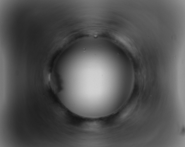 X0000092270307200709211142