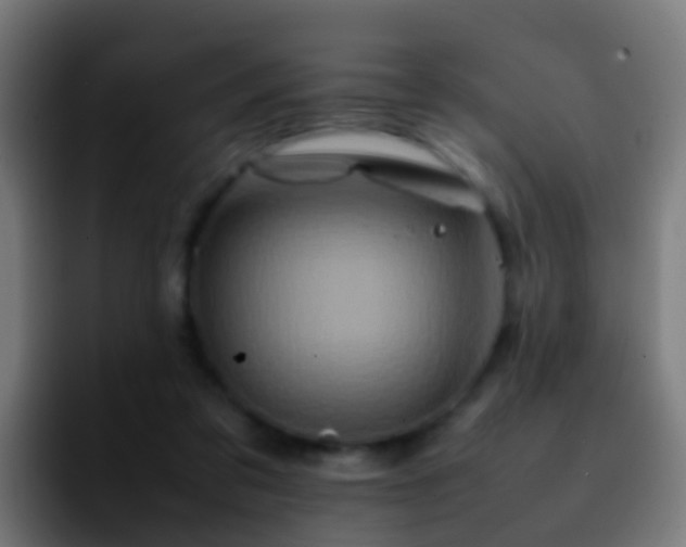 X0000092270309200709211142