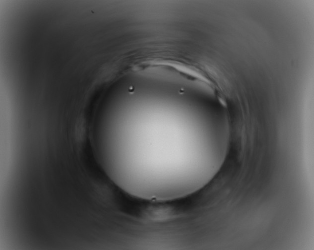 X0000092270311200709211142