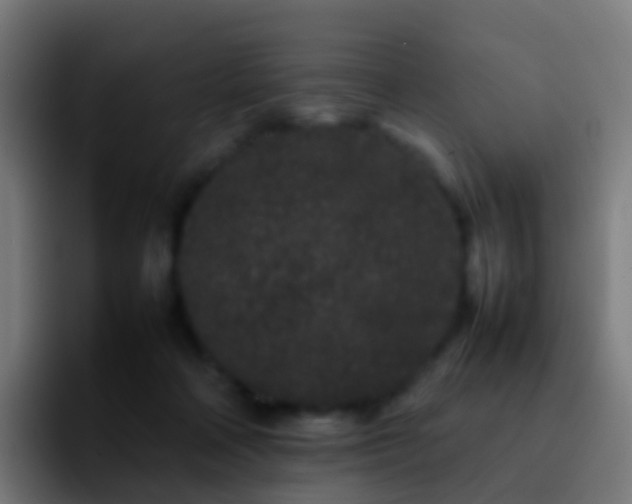 X0000092270314200709211142
