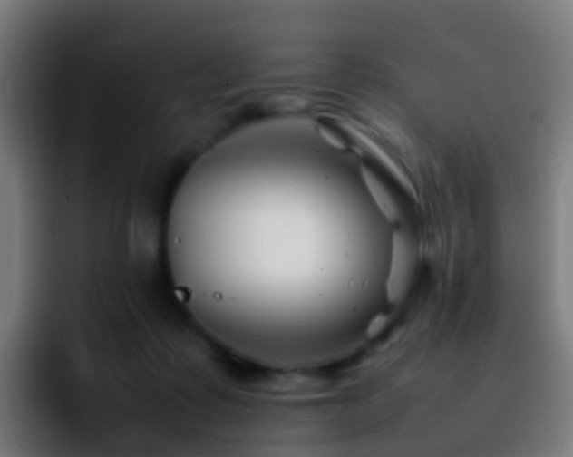 X0000092270315200709211142