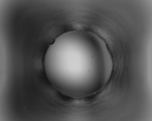X0000092270317200709211142