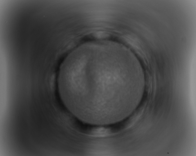 X0000092270319200709211142