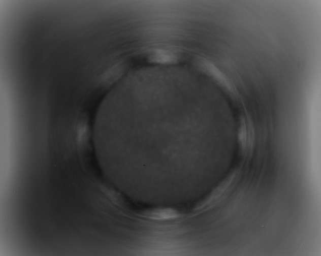 X0000092270322200709211142