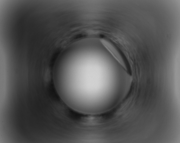 X0000092270323200709211142