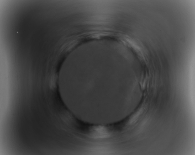 X0000092270325200709211141