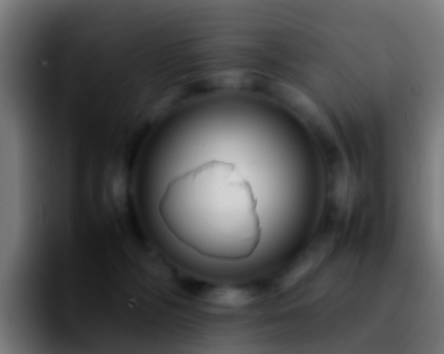 X0000092270326200709211141