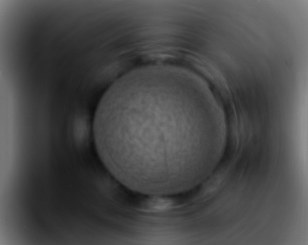 X0000092270328200709211141