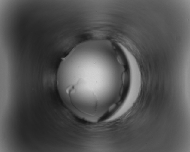 X0000092270329200709211141