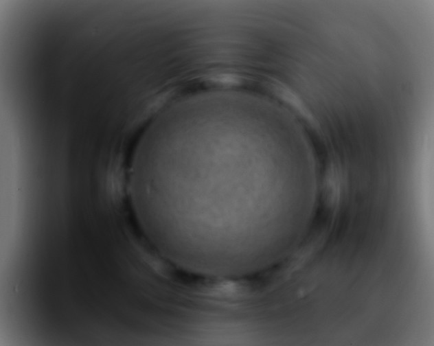 X0000092270330200709211141