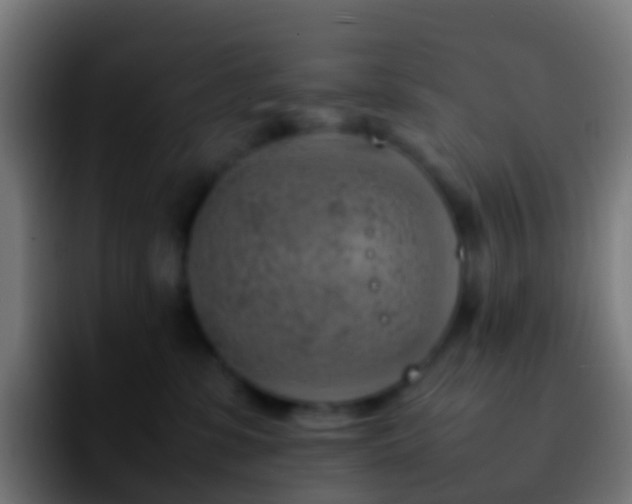 X0000092270331200709211141