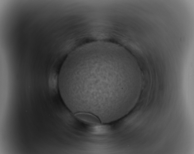 X0000092270336200709211141