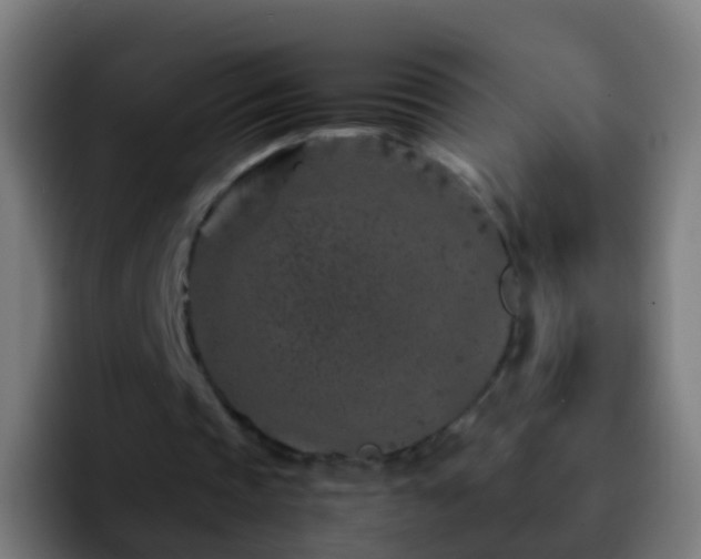 X0000092270337200709211141