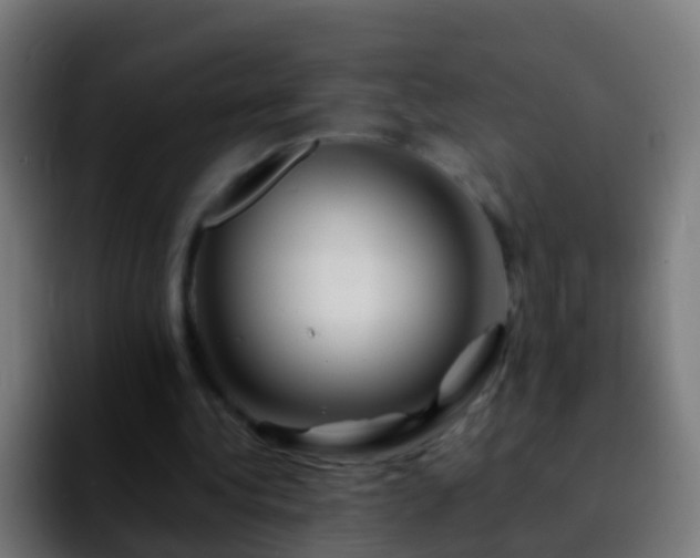 X0000092270340200709211141