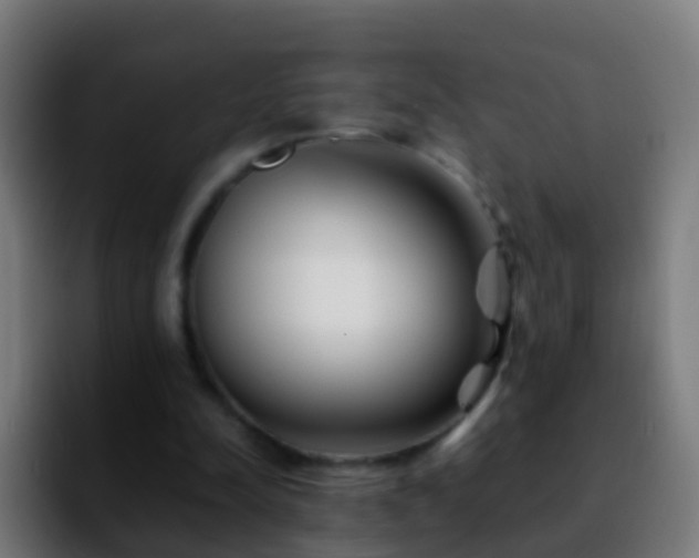 X0000092270342200709211141