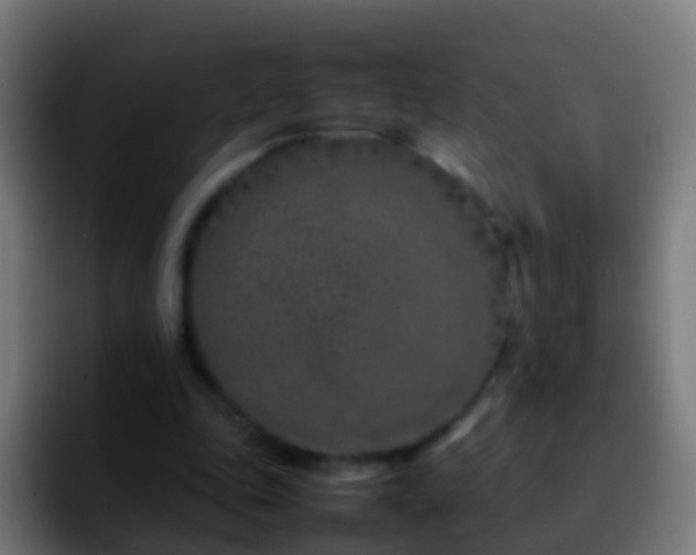 X0000092270343200709211141