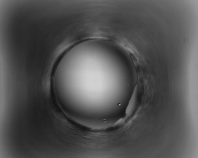 X0000092270344200709211141