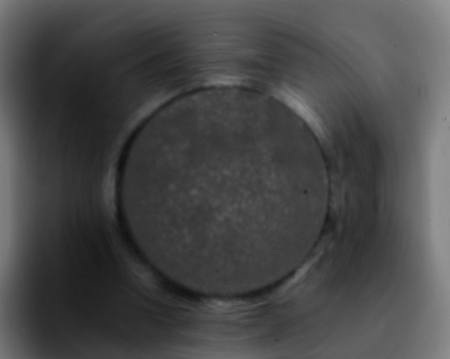 X0000092270346200709211141