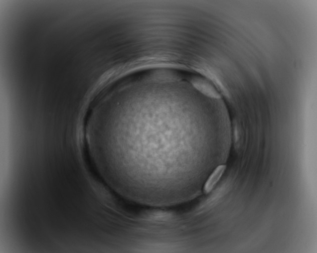 X0000092270348200709211141