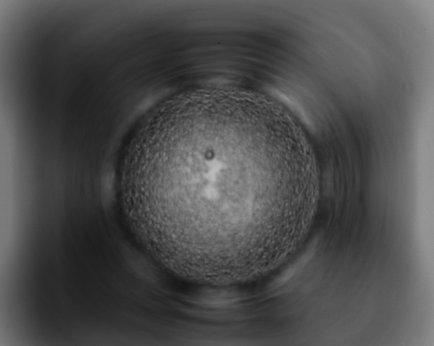 X0000092270351200709211141