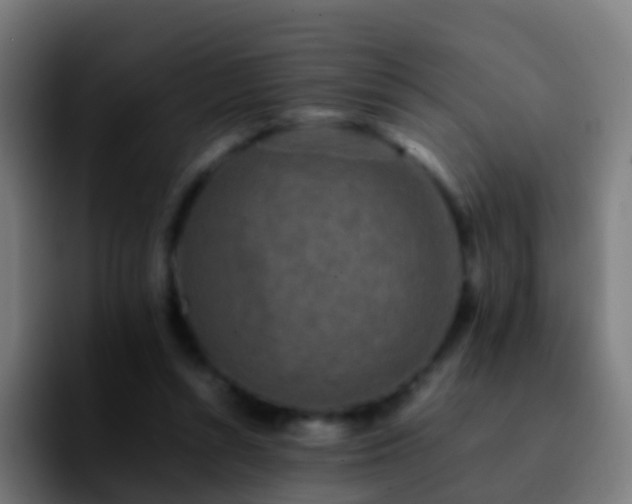 X0000092270352200709211141