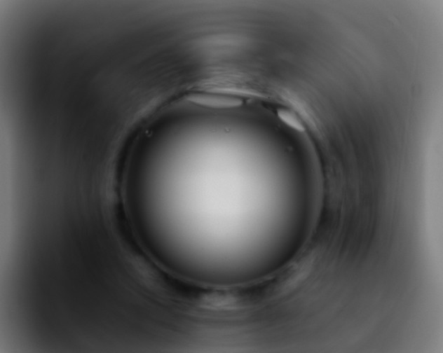 X0000092270354200709211141