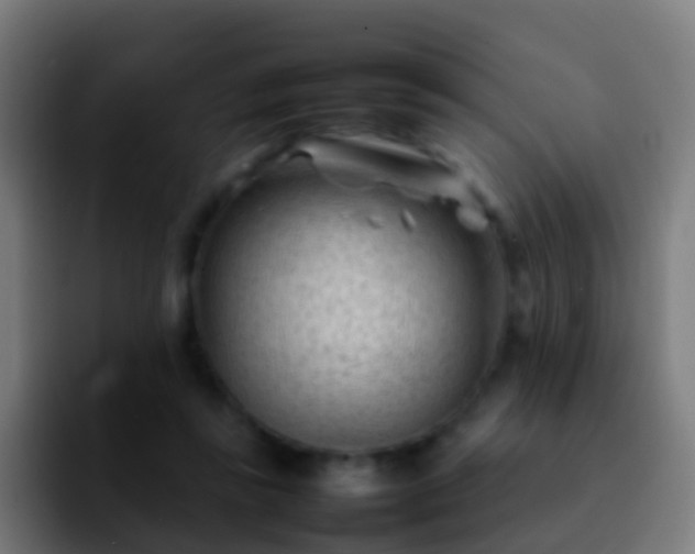 X0000092270355200709211141