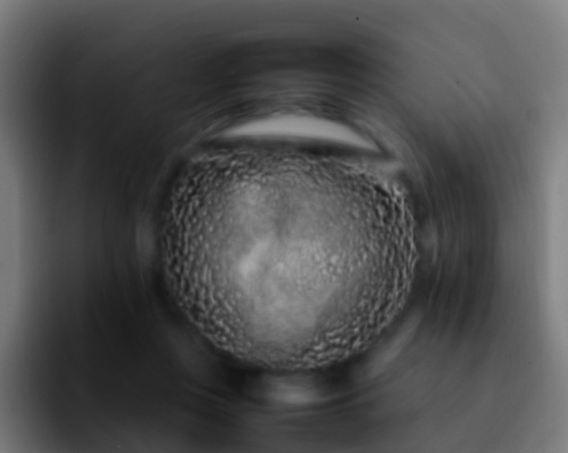 X0000092270359200709211141