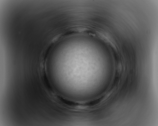 X0000092270360200709211141