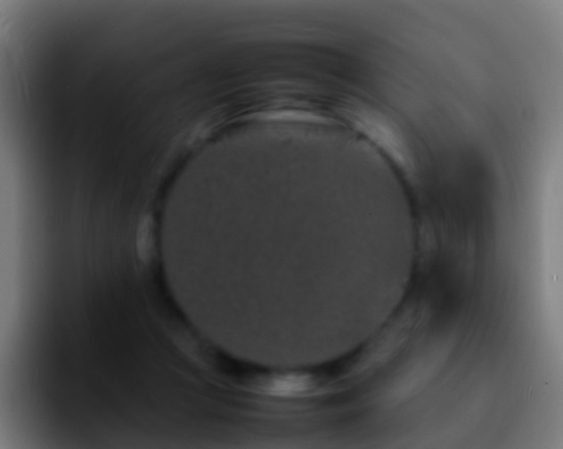 X0000092270361200709211141