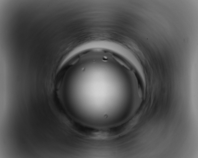 X0000092270362200709211141