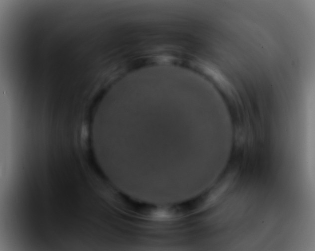 X0000092270365200709211141
