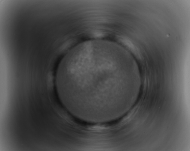 X0000092270366200709211141