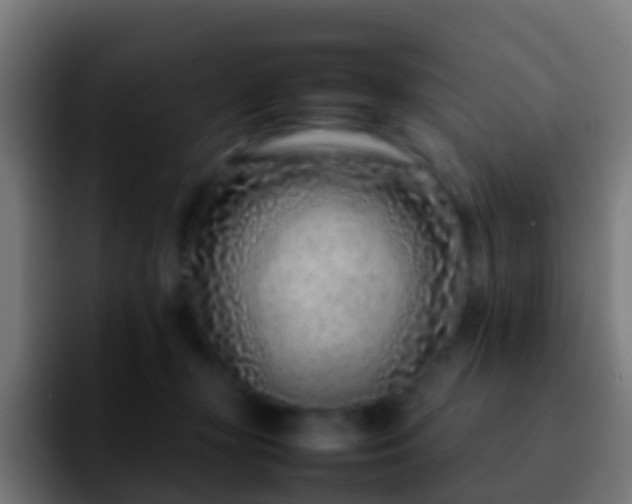 X0000092270367200709211141