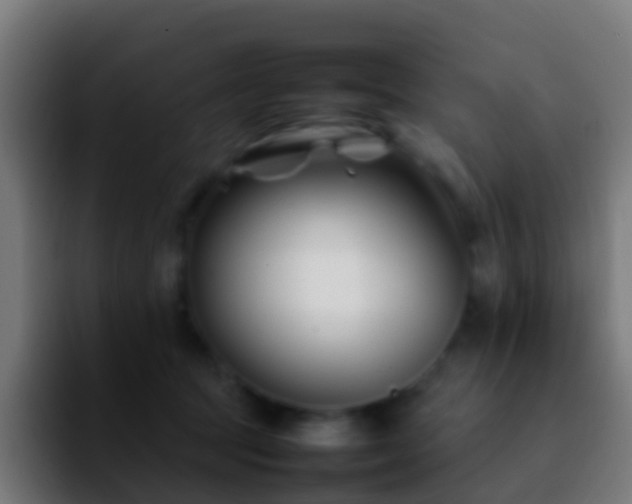 X0000092270369200709211141