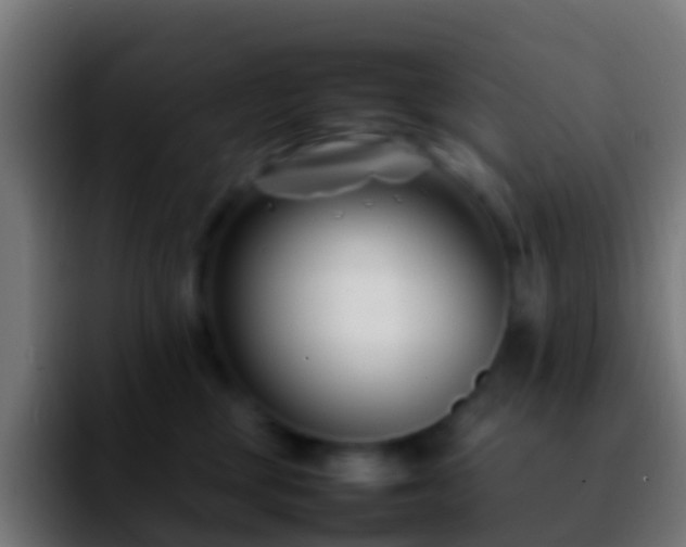 X0000092270377200709211141
